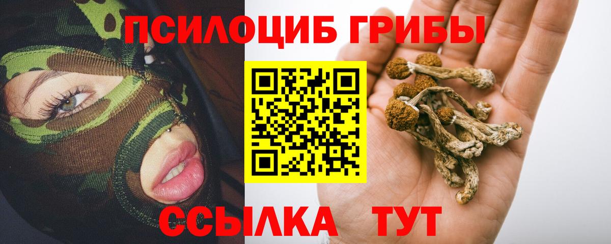 Псилоцибиновые грибы GOLDEN TEACHER  Вход с VPN  Севастополь  Псилоцибиновые грибы GOLDEN TEACHER 