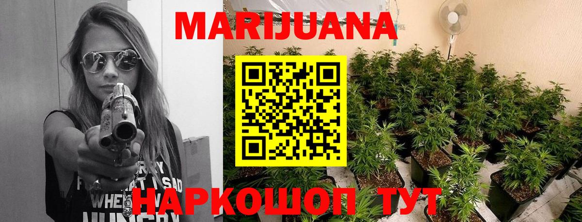 Бошки Шишки ГИДРОПОН Севастополь